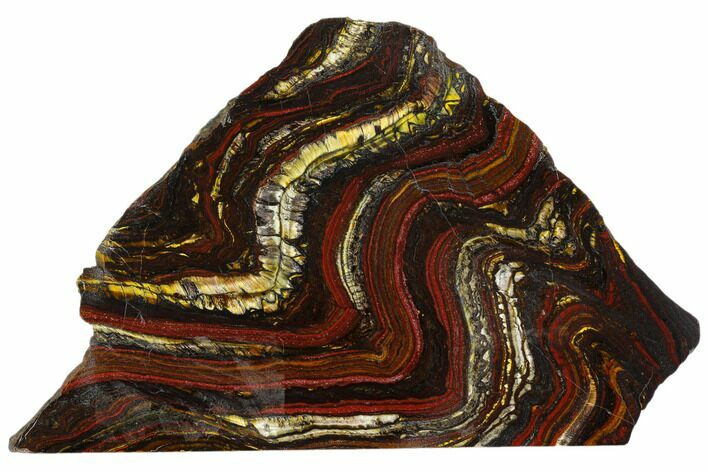 Polished Tiger Iron Stromatolite - Billion Years #129208